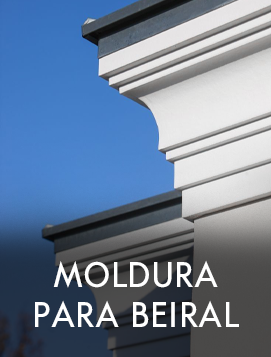 card-fundo-4